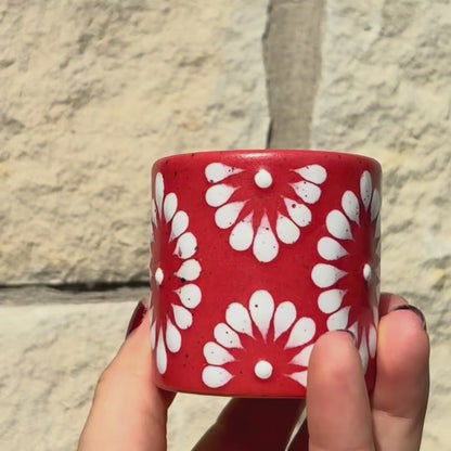 Classico Red Small Sipper